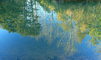 Pond - East of France