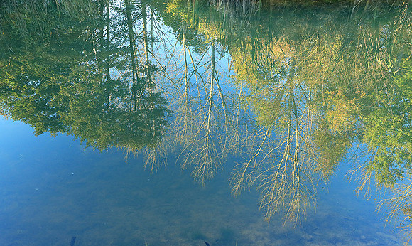 Pond - East of France