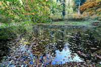 Etang Framboise - France