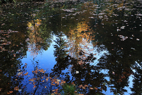 Etang Coucou - France