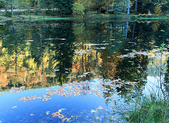 Etang Coucou - France