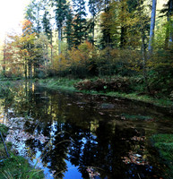 Etang Framboise - France