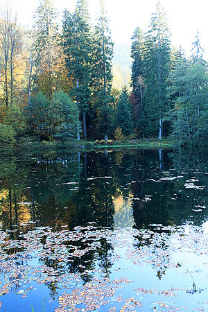 Etang Coucou - France