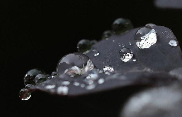 Raindrops