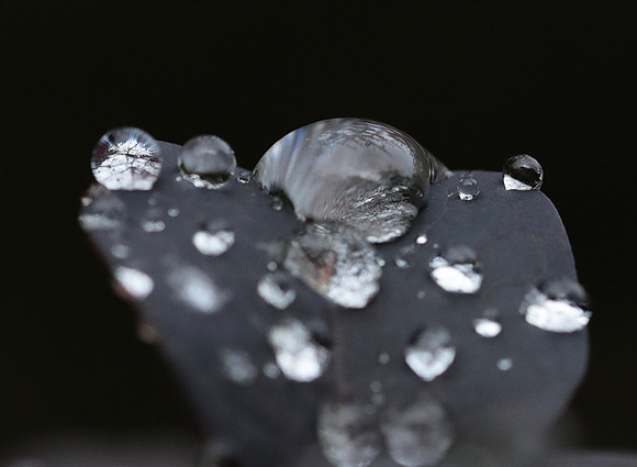 Raindrops