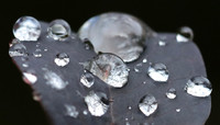 Raindrops