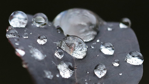 Raindrops
