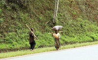 Along the road....