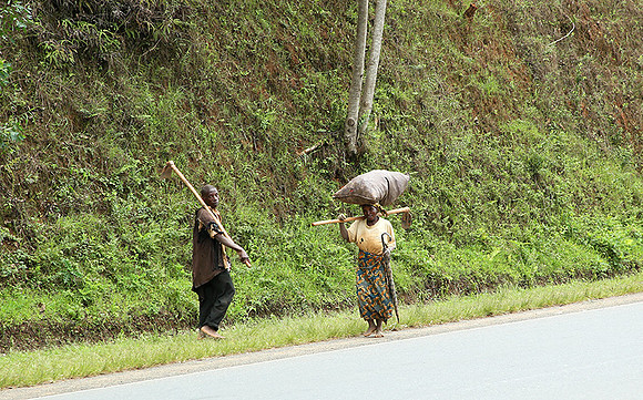 Along the road....