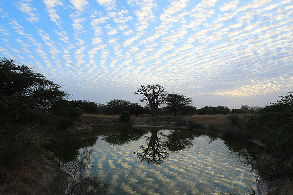 Clouds reflection
