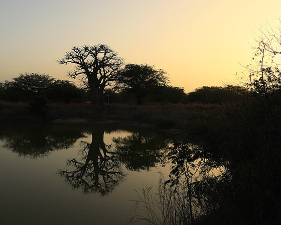 Sunset  - Senegal