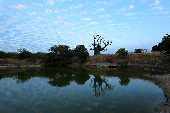 Clouds reflection