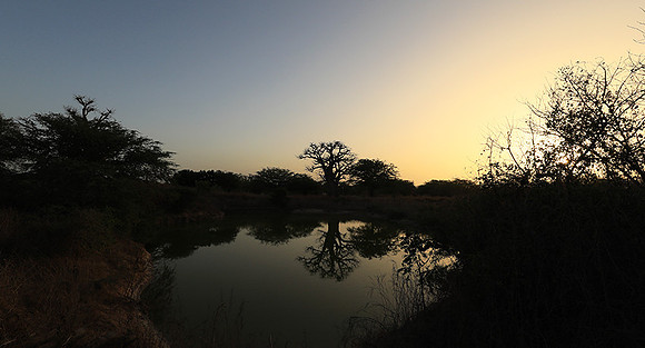 Sunset  - Senegal