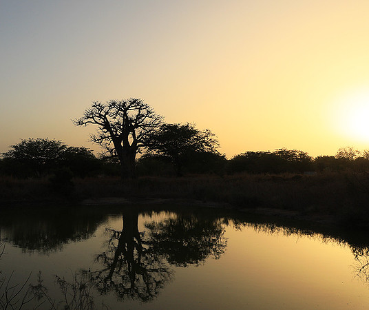 Sunset  - Senegal