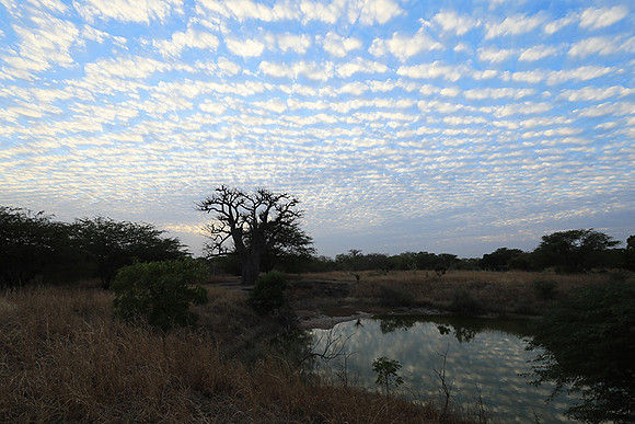 Clouds reflection