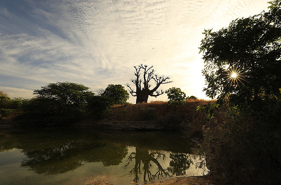 Clouds reflection