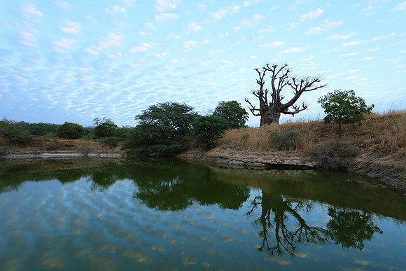 Clouds reflection