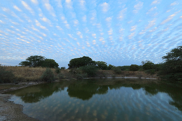 Clouds reflection
