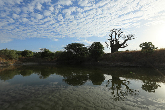 Clouds reflection