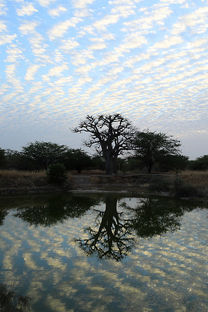 Clouds reflection