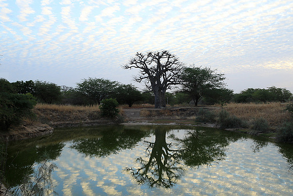 Clouds reflection