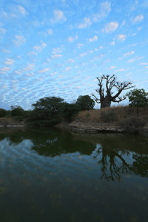 Clouds reflection