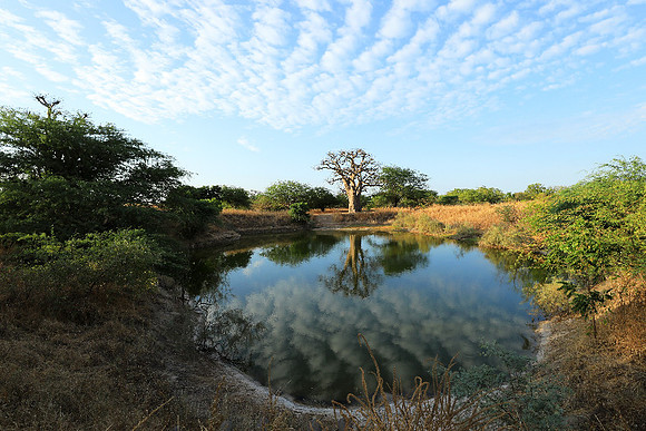 Clouds reflection