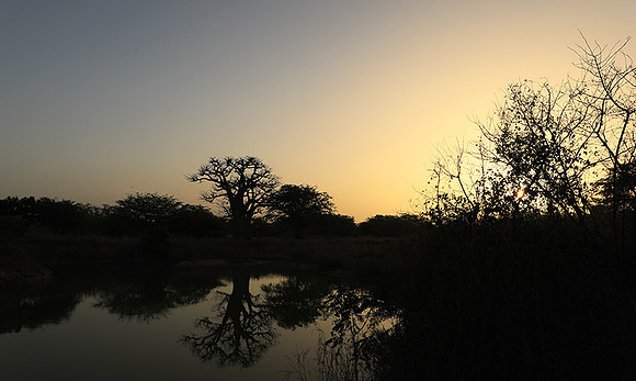 Sunset  - Senegal