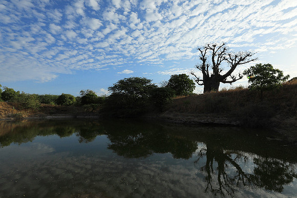 Clouds reflection