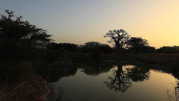 Sunset  - Senegal