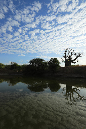Clouds reflection