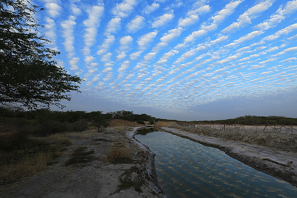 Clouds reflection