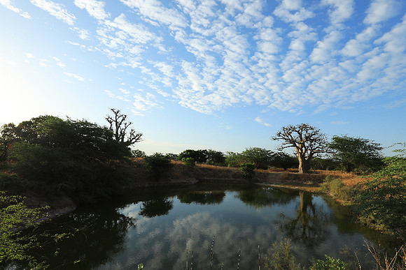 Clouds reflection