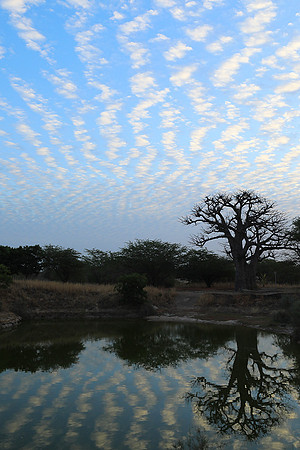 Clouds reflection