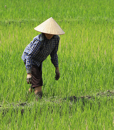 At Mai Chau  - northern Vietnam