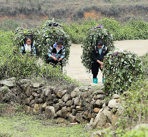 Hmong ethnic group - Northern Vietnam