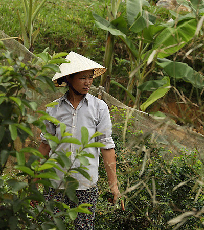 Pu Luong, Northern Vietnam