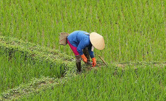 At Mai Chau  - northern Vietnam