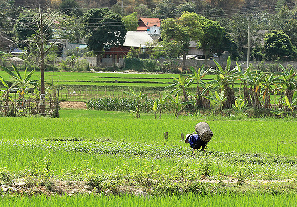 At Mai Chau  - northern Vietnam