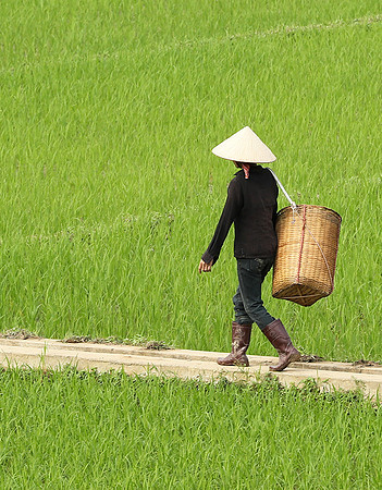 At Mai Chau  - northern Vietnam