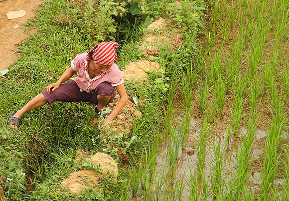 At Mai Chau  - northern Vietnam