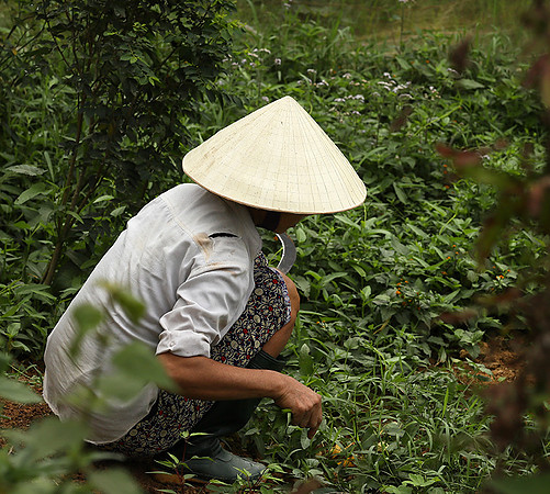 Pu Luong, Northern Vietnam