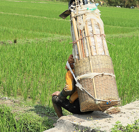 Northern Vietnam