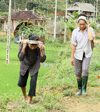 Pu Luong, Northern Vietnam