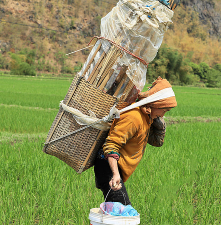 Northern Vietnam