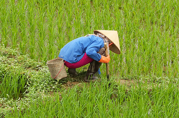 At Mai Chau  - northern Vietnam