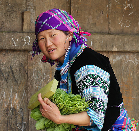 Hmong ethnic group - Northern Vietnam
