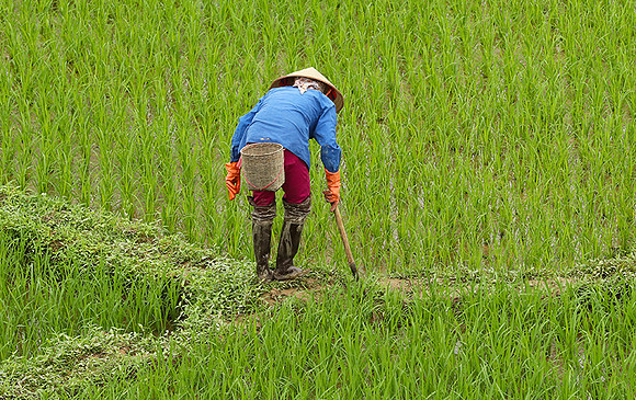 At Mai Chau  - northern Vietnam