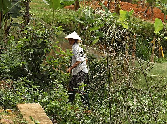 Pu Luong, Northern Vietnam
