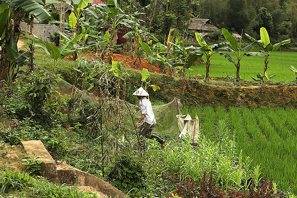 Pu Luong, Northern Vietnam